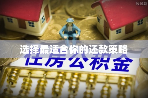 壤塘选择最适合你的还款策略
