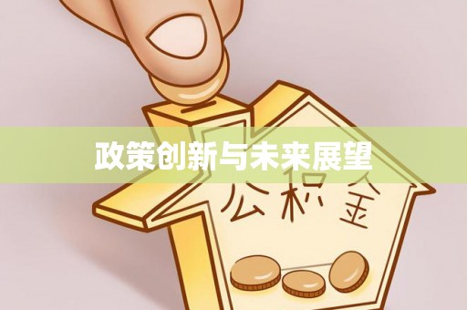 壤塘政策创新与未来展望