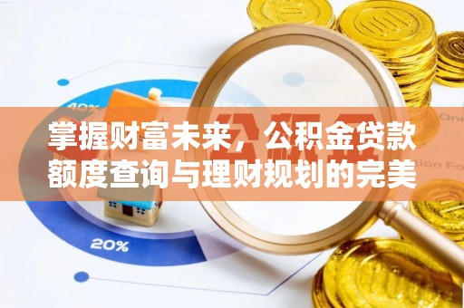 壤塘掌握财富未来，公积金贷款额度查询与理财规划的完美结合