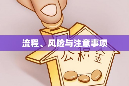 壤塘流程、风险与注意事项