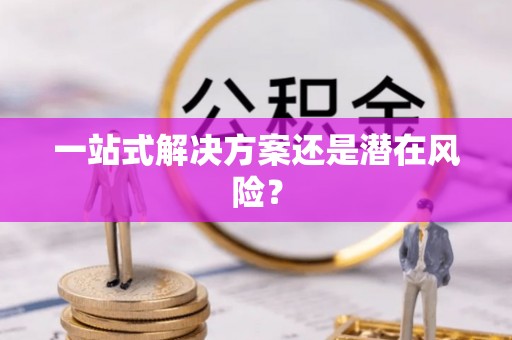壤塘一站式解决方案还是潜在风险？